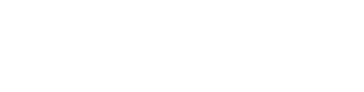 Beyond Freight Solutions